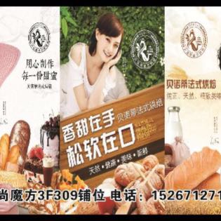 贝诺蒂
