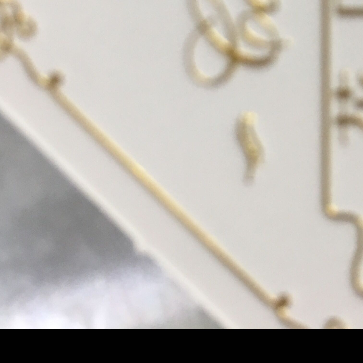 重庆花贝斯烘培艺术